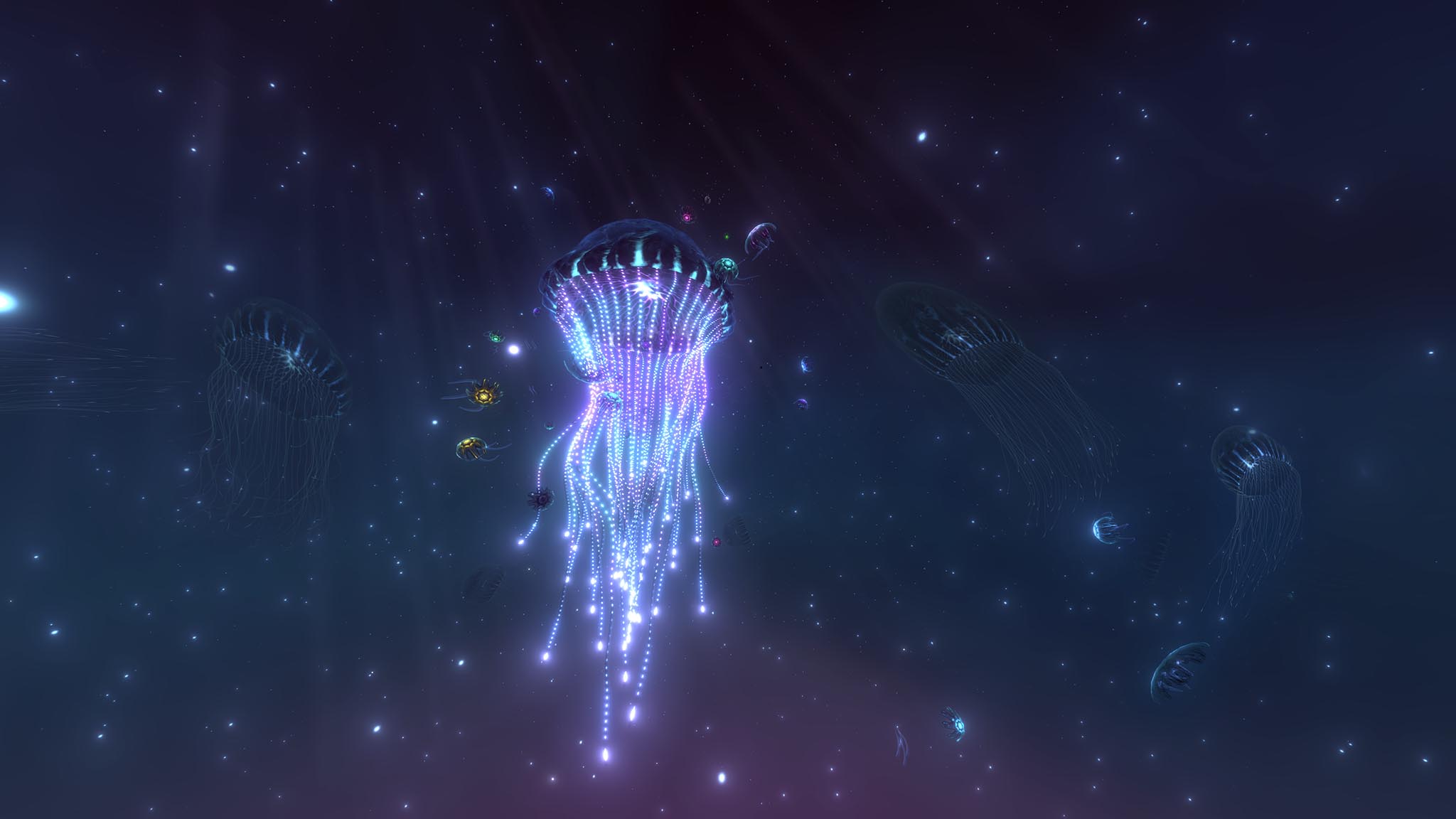 screen_3840x2160_2020-02-24_05-50-12b copy